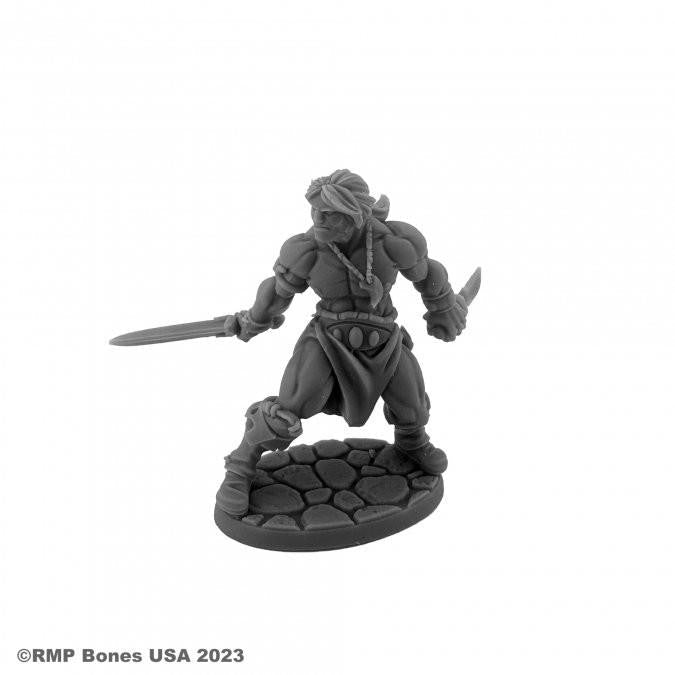 Bones USA Dungeon Dwellers Hyborian Hero (07116)